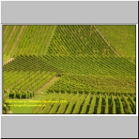 16709 Weinberge Bullenheim Oberfranken 2010.JPG